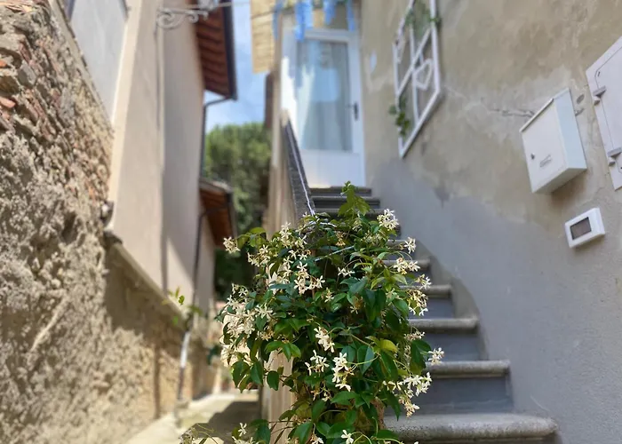 La Petite Maison