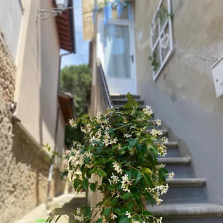 La Petite Maison